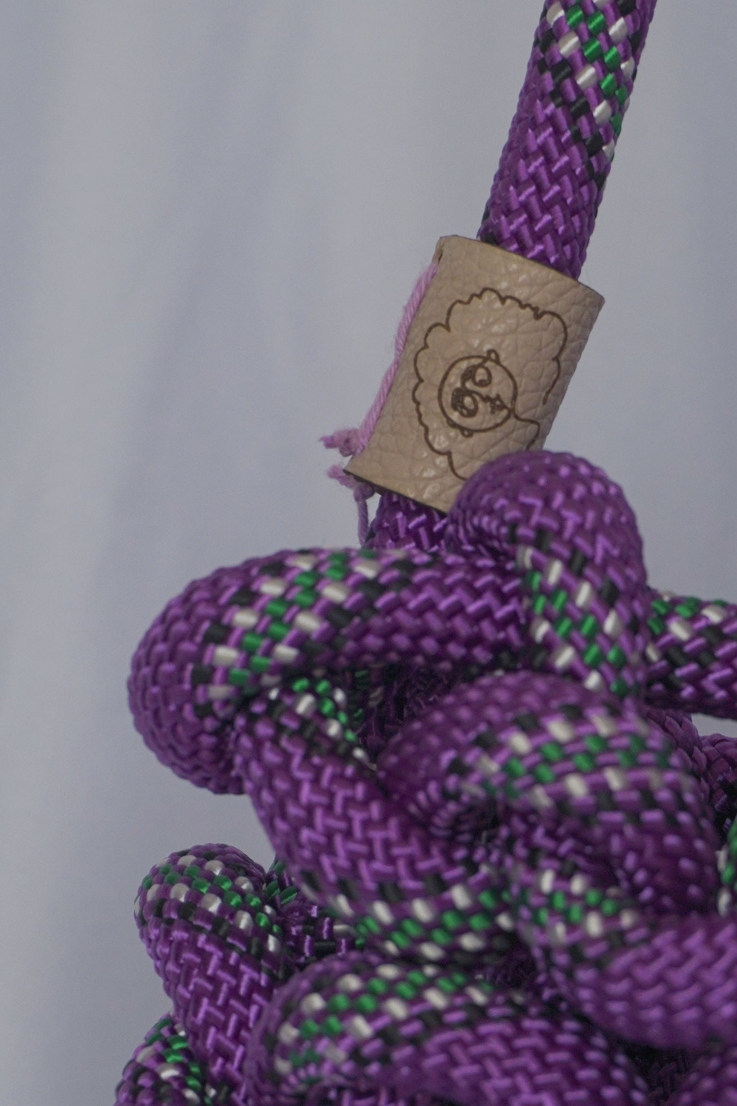 BELAY #7